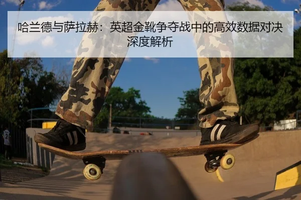 ha-lan-de-yu-sa-la-he-ying-chao-jin-xue-zheng-duo-zhan-zhong-de-gao-xiao-shu-ju-dui-jue-shen-du-jie-xi-2-227.jpg